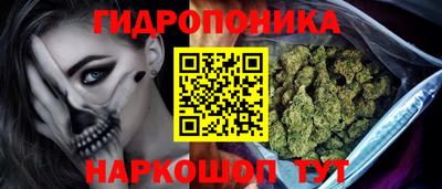 крисы Краснокаменск